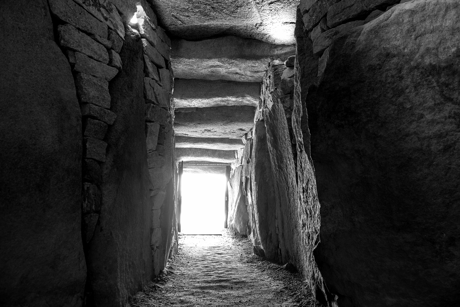 Cuidado con la cabeza