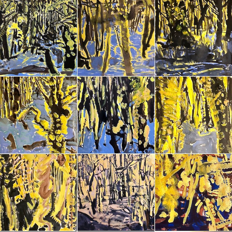 Collection of gouaches sketches