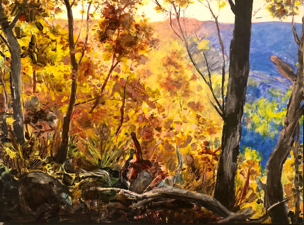 Frances Feasey Sunset End Earth Lookout.jpeg