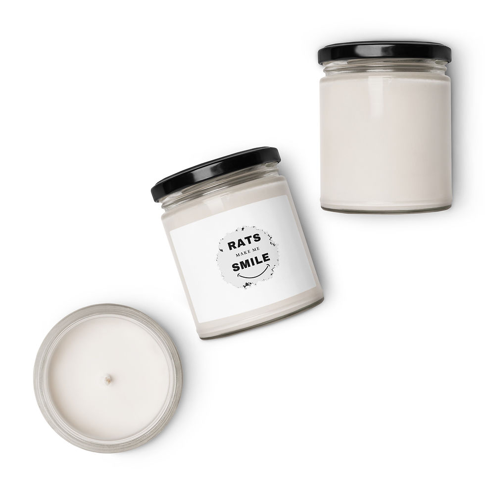 Thumbnail: Scented soy candle by RatBerry with funny slogan
