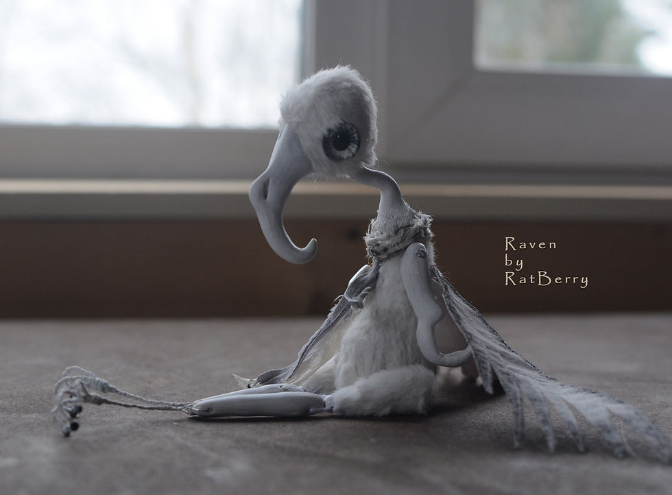 Thumbnail: White baby raven 6/8"