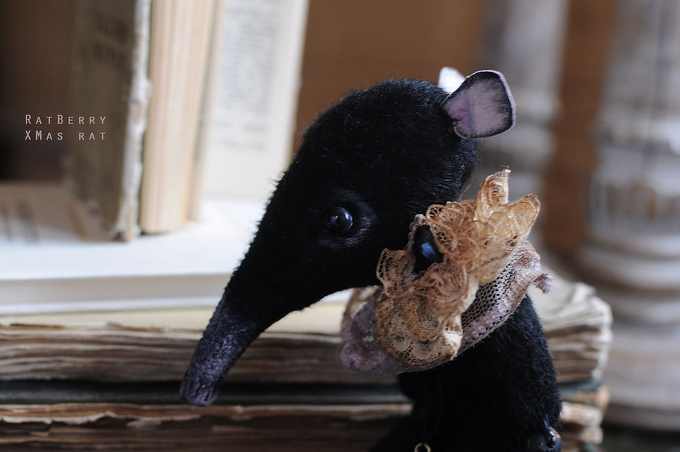 Thumbnail: Adult Black rat 7/9" Boy in a hat