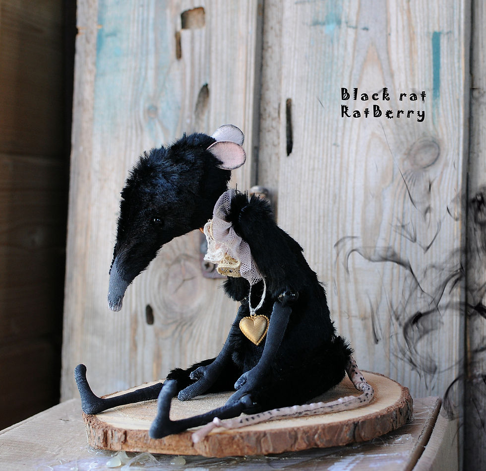 Thumbnail: Adult Black rat 7/9" Boy in a hat