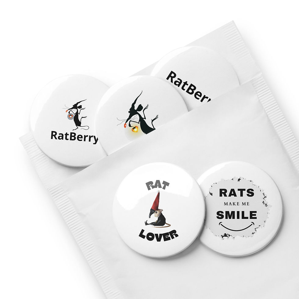 Thumbnail: Set of pin buttons with RatBerry