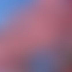 新年度がはじまりました！