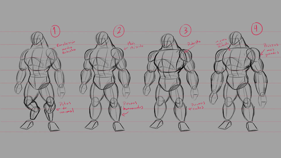 anatomia base.jpg