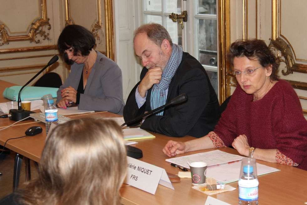 Valérie Niquet