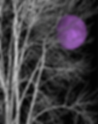 image (2).png