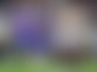 Brasileirão: Flamengo empata com o Fortaleza e fica fora da disputa pelo título