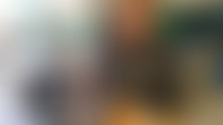 Toca da Corvina – Memória salobra no coração de Duque de Caxias