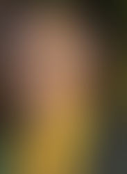 O que é PEC da Segurança Pública? 