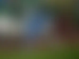 Libertadores: Flamengo perde para o Bolívar na altitude, mas vai às quartas de final