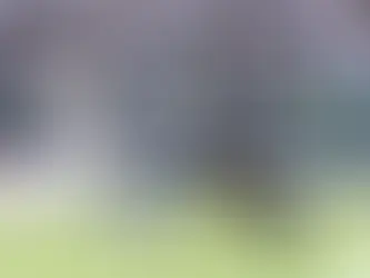 Brasileirão: Vasco perde para o Atlético-MG, e entra no Z-4 na parada para a Copa