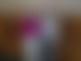 Secretaria de Saúde realiza Prestação de Contas na Câmara