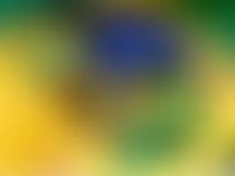 Segurança reforçada nos transportes para o jogo do Brasil na segunda-feira