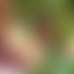 Luana é Mulher Top Dez do Município de Duque de Caxias, versão 2026