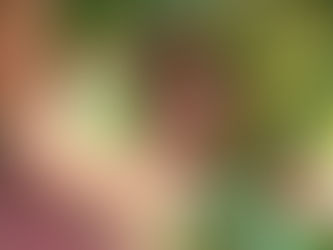 Luana é Mulher Top Dez do Município de Duque de Caxias, versão 2026