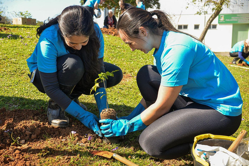 Programa de voluntariado reforça o elo entre pessoas, comunidades e o meio ambiente em um movimento coletivo por um futuro melhor