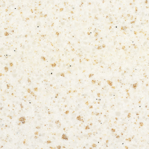 TO310 Quarry Oyster