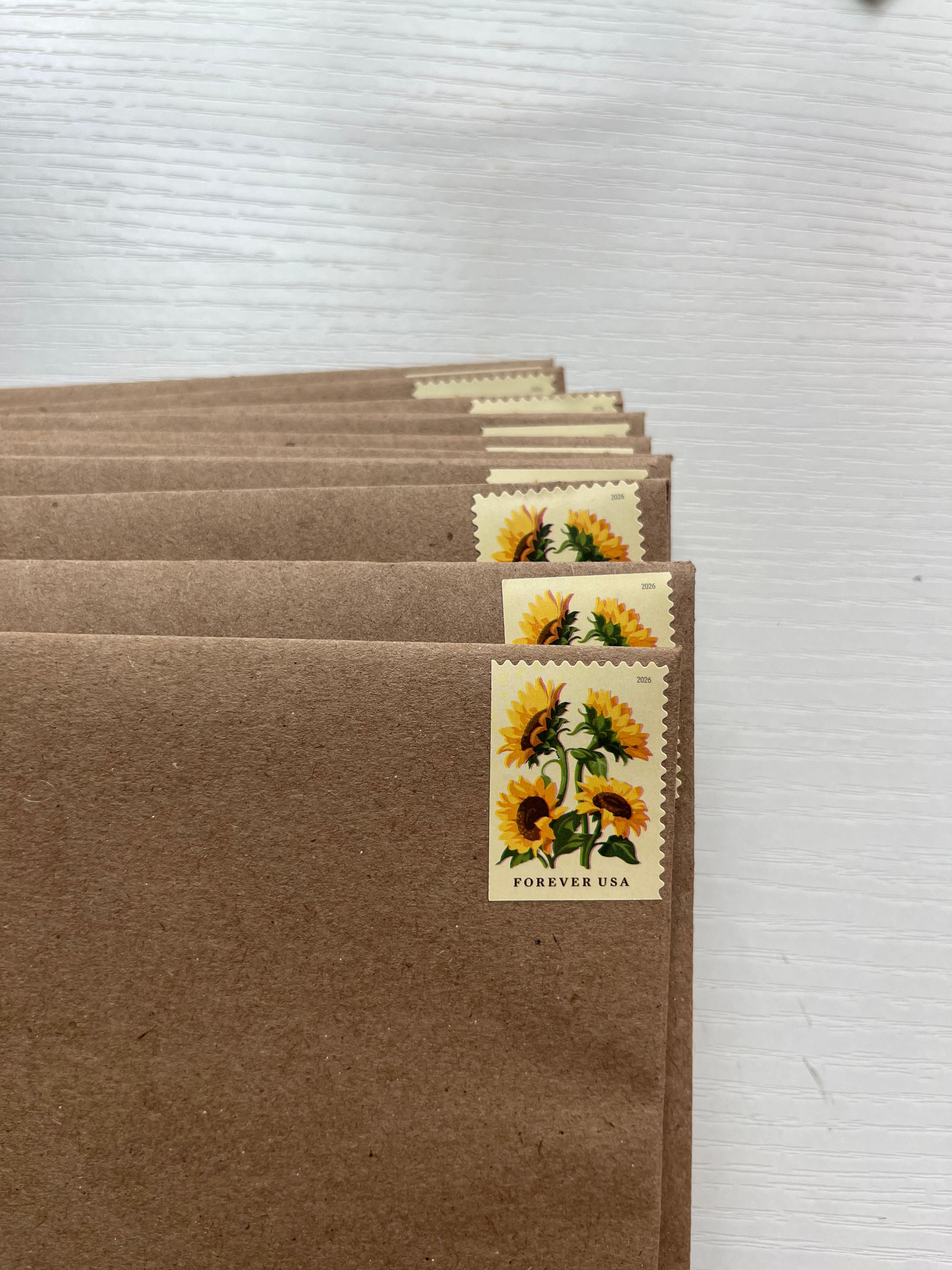 Little Marvels Mail Club (International)