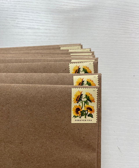 Little Marvels Mail Club (International)