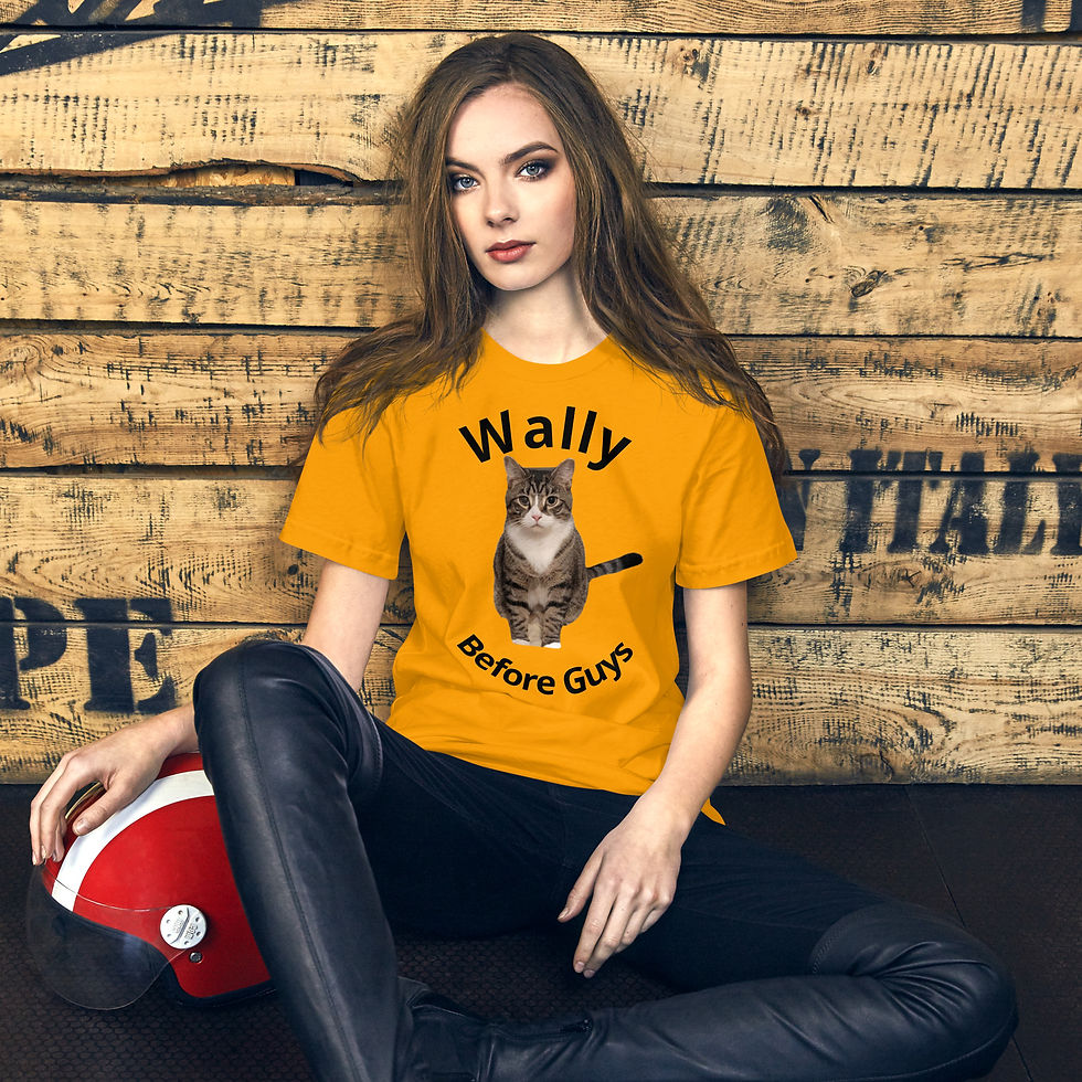 Thumbnail: Wally  Before Guys Unisex t-shirt