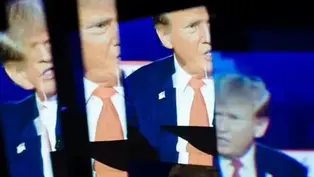                  The Mutt in The Mirror 