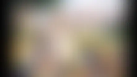               America, Look Over Here!