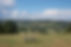 67402784_10161958019980307_1885176311467