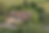 detached property drone 3