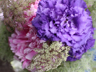 6月のワークショップのお知らせ