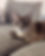 LegoHW_edited_edited.jpg