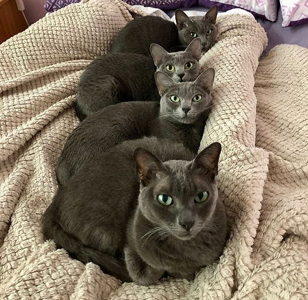 4Korats.JPG