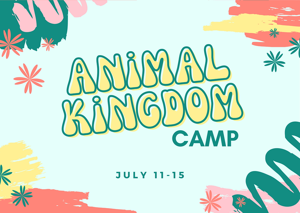 Animal Kingdom Summer Camp