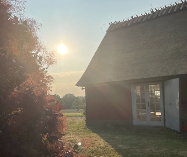 the location, the soul house