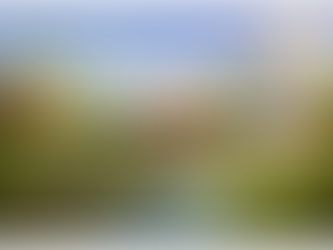 Qu’est-ce que le biomimétisme ?