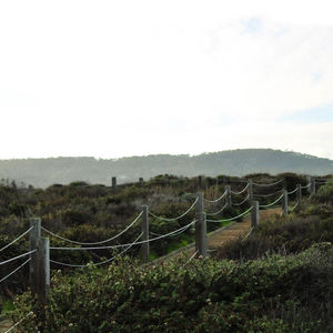 MONTEREY