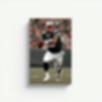 Gridiron Legend Card