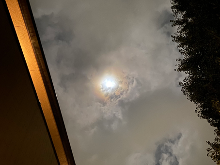 ミスタームーンライト