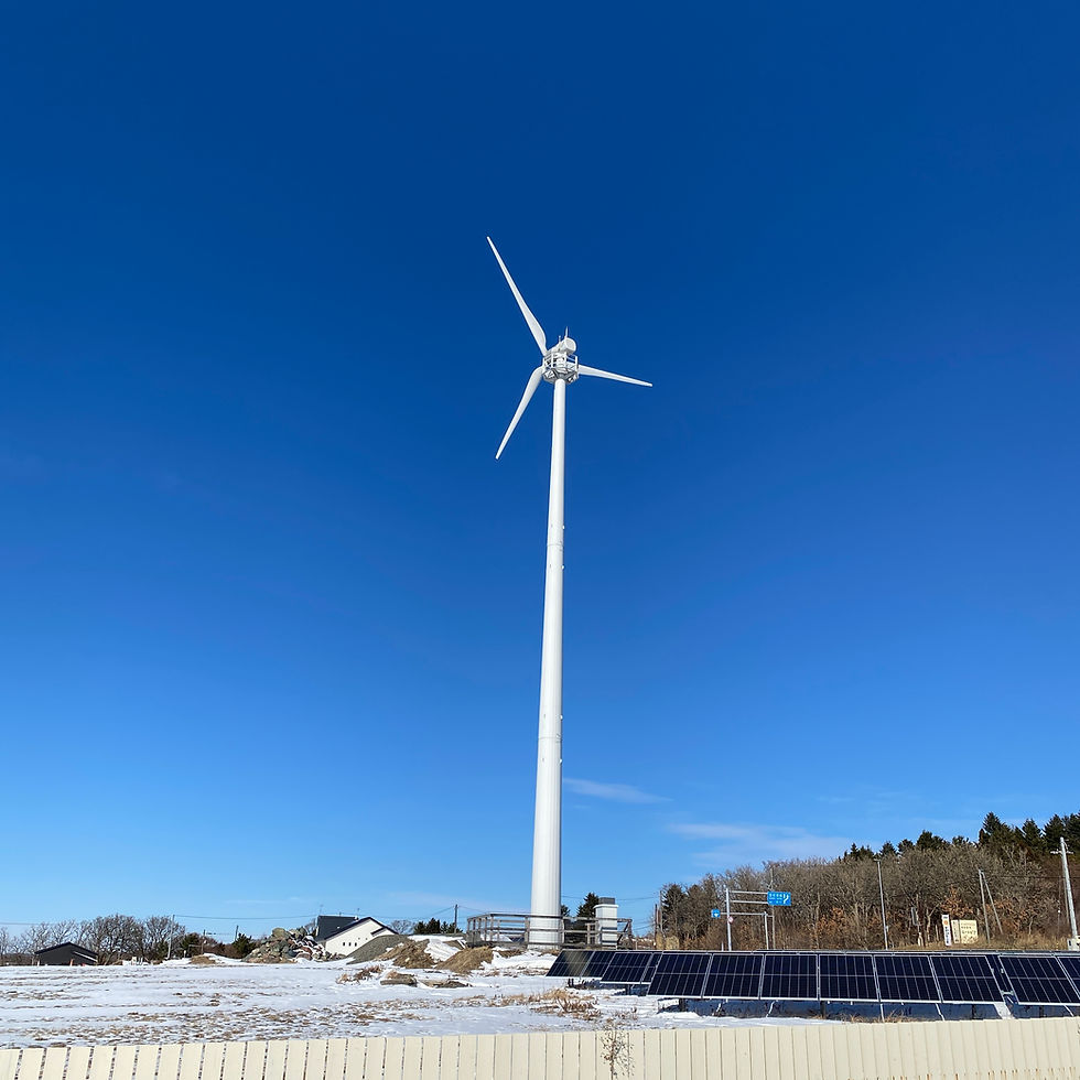 雪は大変。でも、無いと寂しい不思議