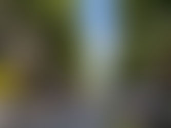 夏の終わり!THEパンツの行方