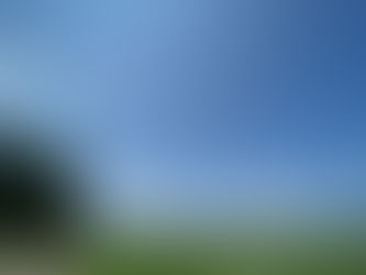 凄いもんだよね