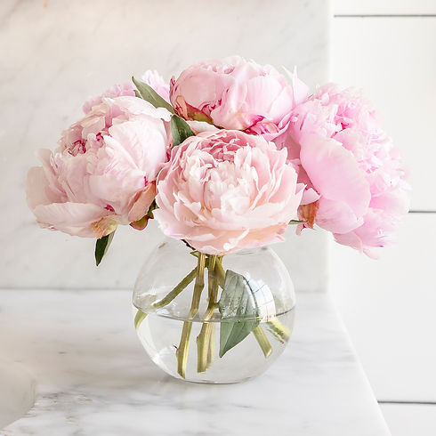 SSS Free Stock Bundle 1.jpg