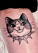 gato com coleira de espinho feita pela Ana Hara