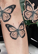 borboleta preta