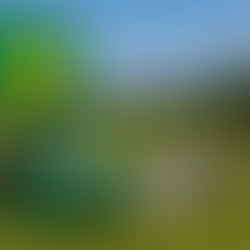 Golf Gear Trends 2025: The Innovations Changing the Game
