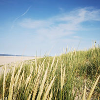 Langeoog Strand - perfekte Hochzeitslocation