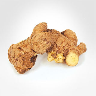 GINGER