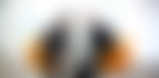 двое мужчин в деловой одежде обсуждают стратегию на ноутбуке в офисе