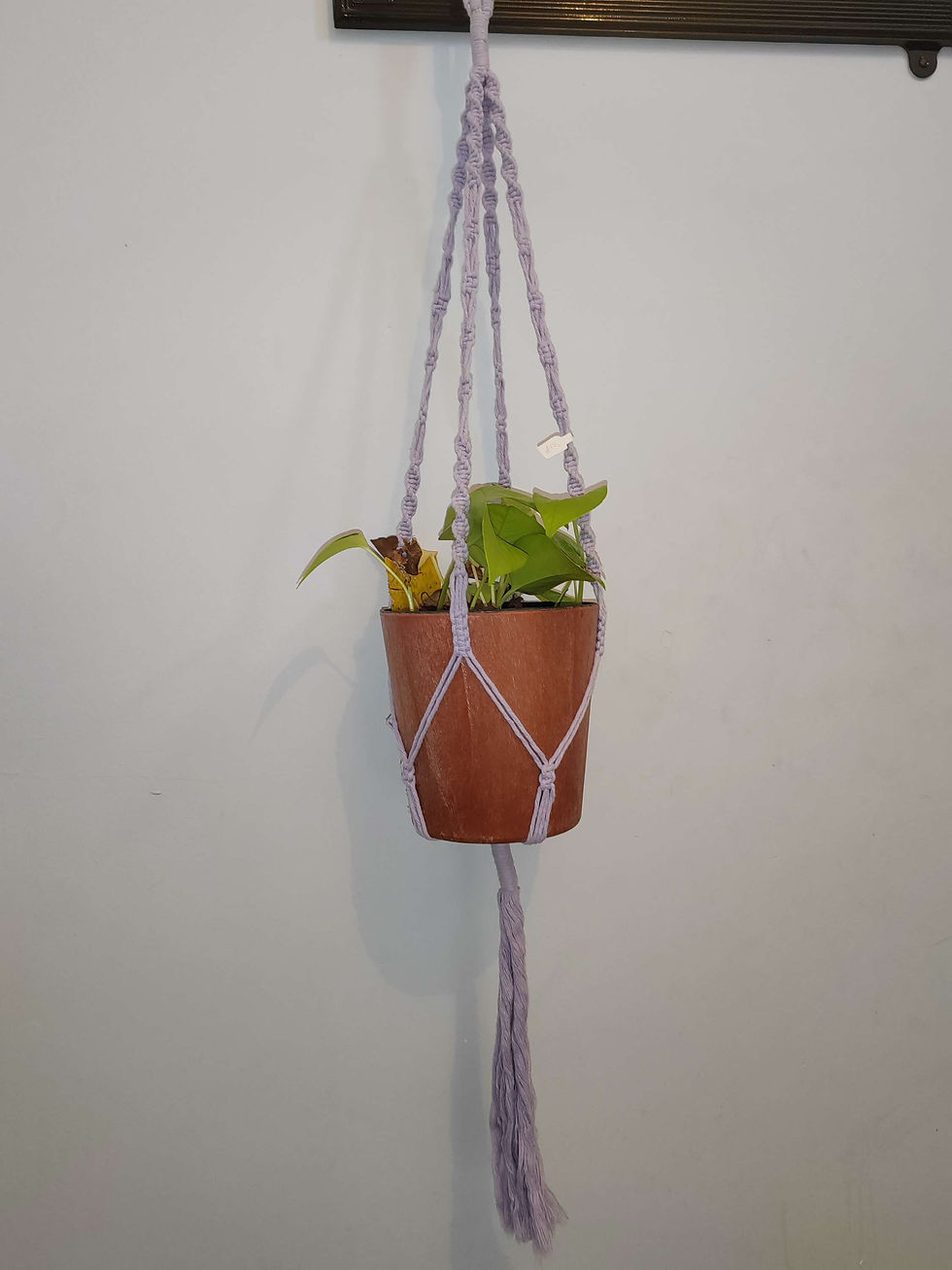 Thumbnail: Basic Macrame Plant Hanger single (10 day turnover) 